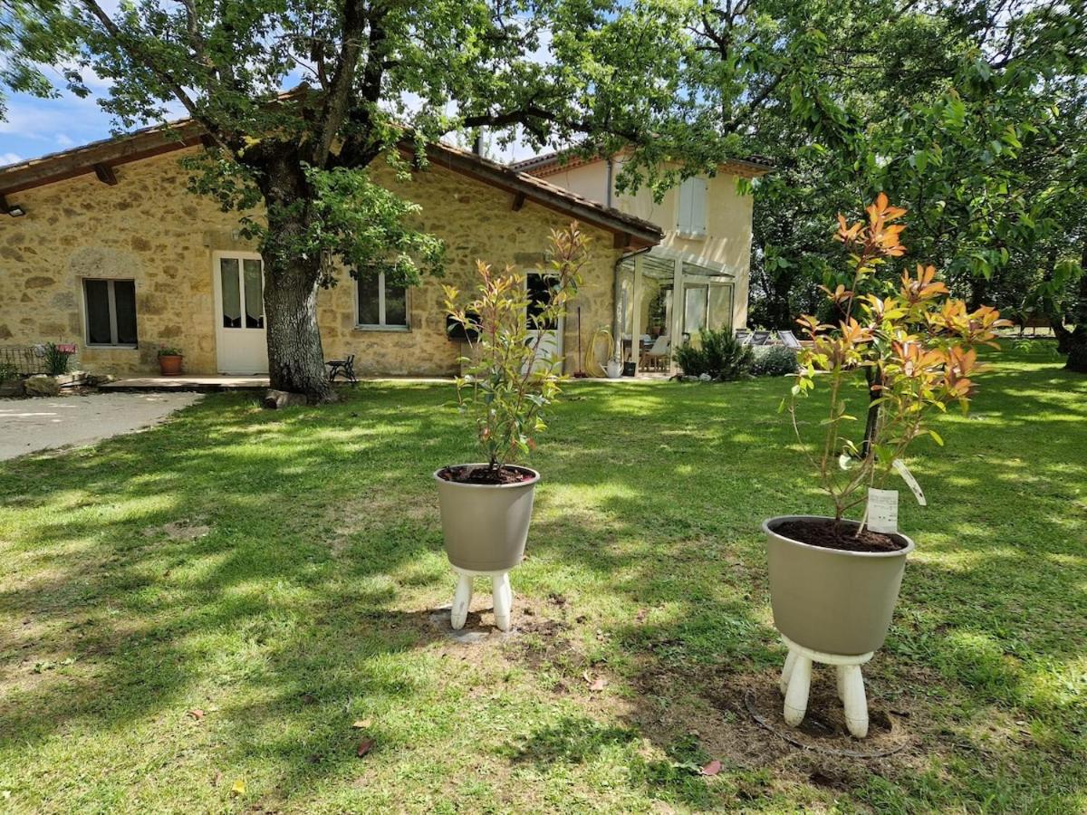 Charmant cottage en pierre dans un parc arboré - B&B Condom