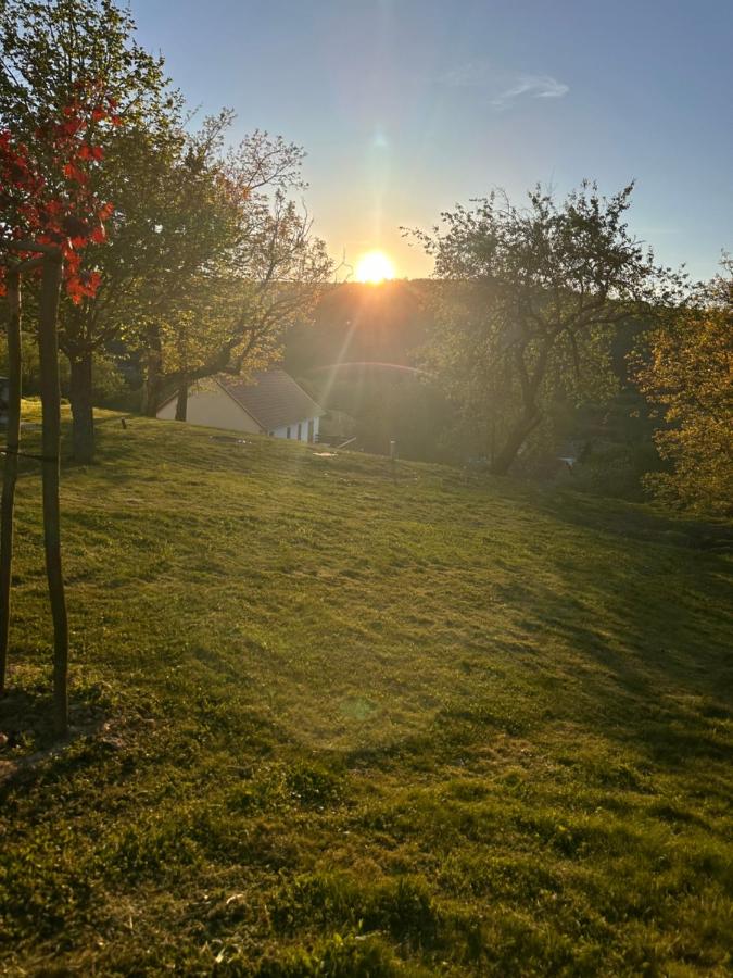 Fehér Bagoly Vendégház - B&B Kovácsszénája