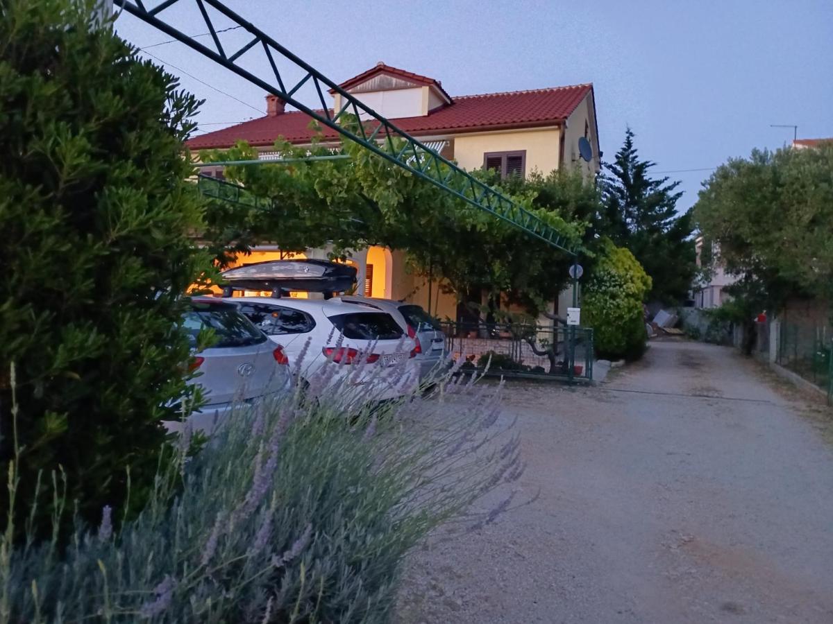 House Olive tree - apartments with sea view - B&B