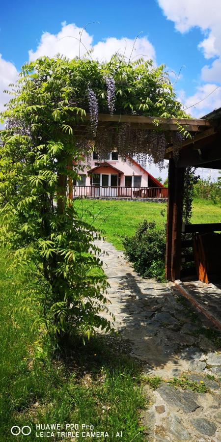 Family Mountain Cottage - Ferienwohnung Cârţişoara