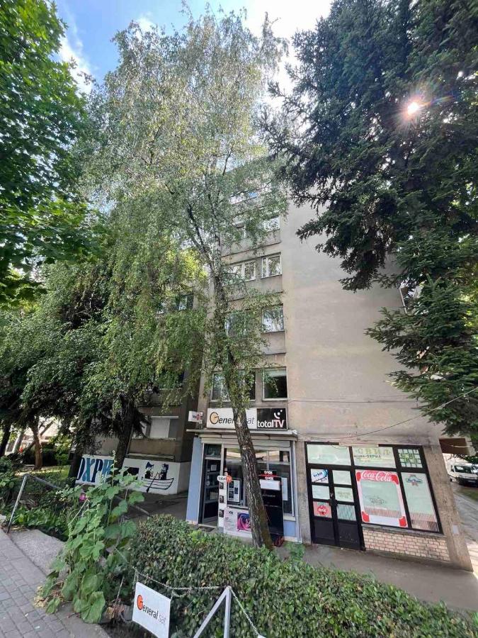 Modern Central Studio - 3 min walk to lake - B&B