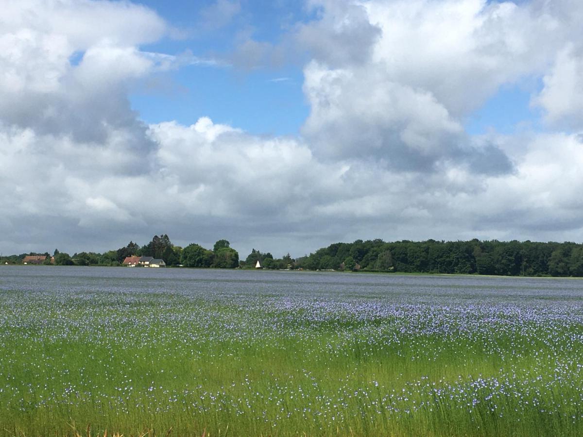 Longère au Numéro 7 - B&B Le Tronquay