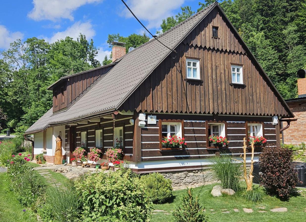 Chalupa Čistá v Krkonoších 8 - Ferienwohnung Schwarzenthal