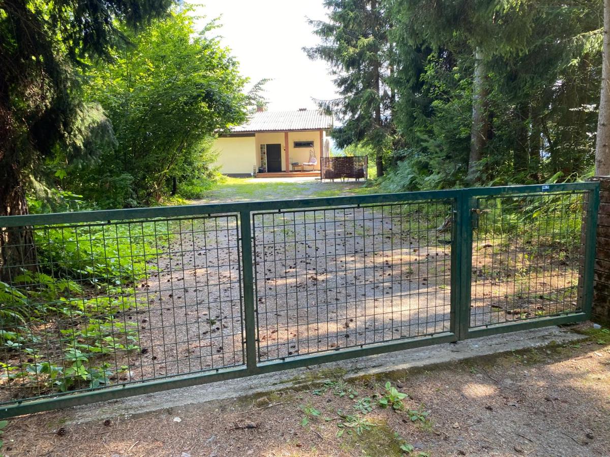 WALDHAUS HIRSCH Bungalow only for you self check in - B&B