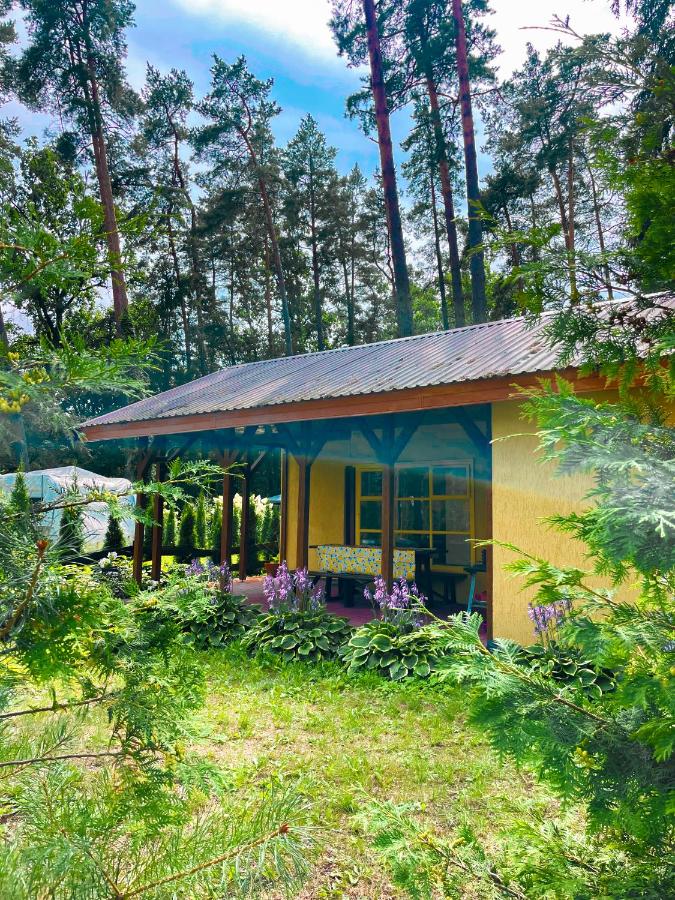 Leśna Chatka - B&B