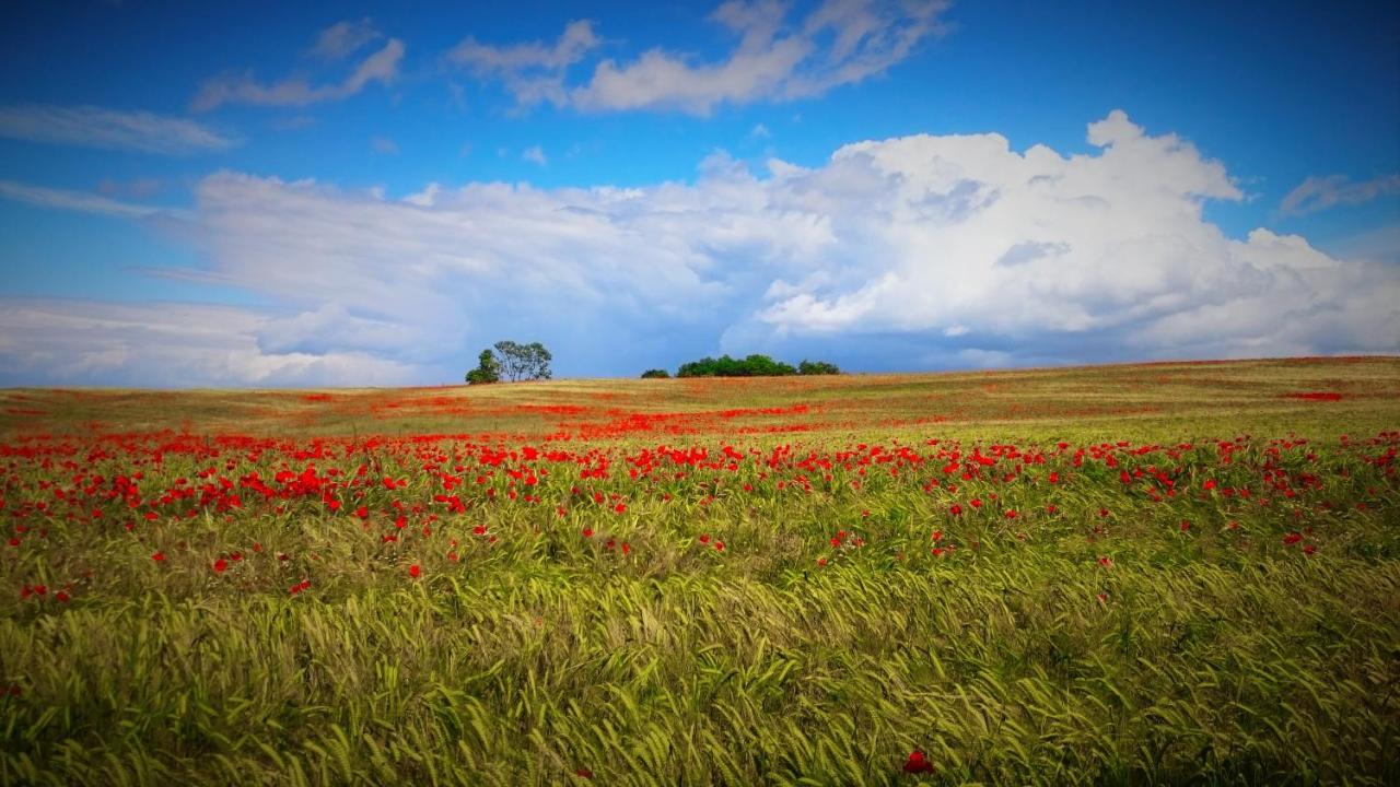 B&B Podere Ospedaletto - Bed and Breakfast