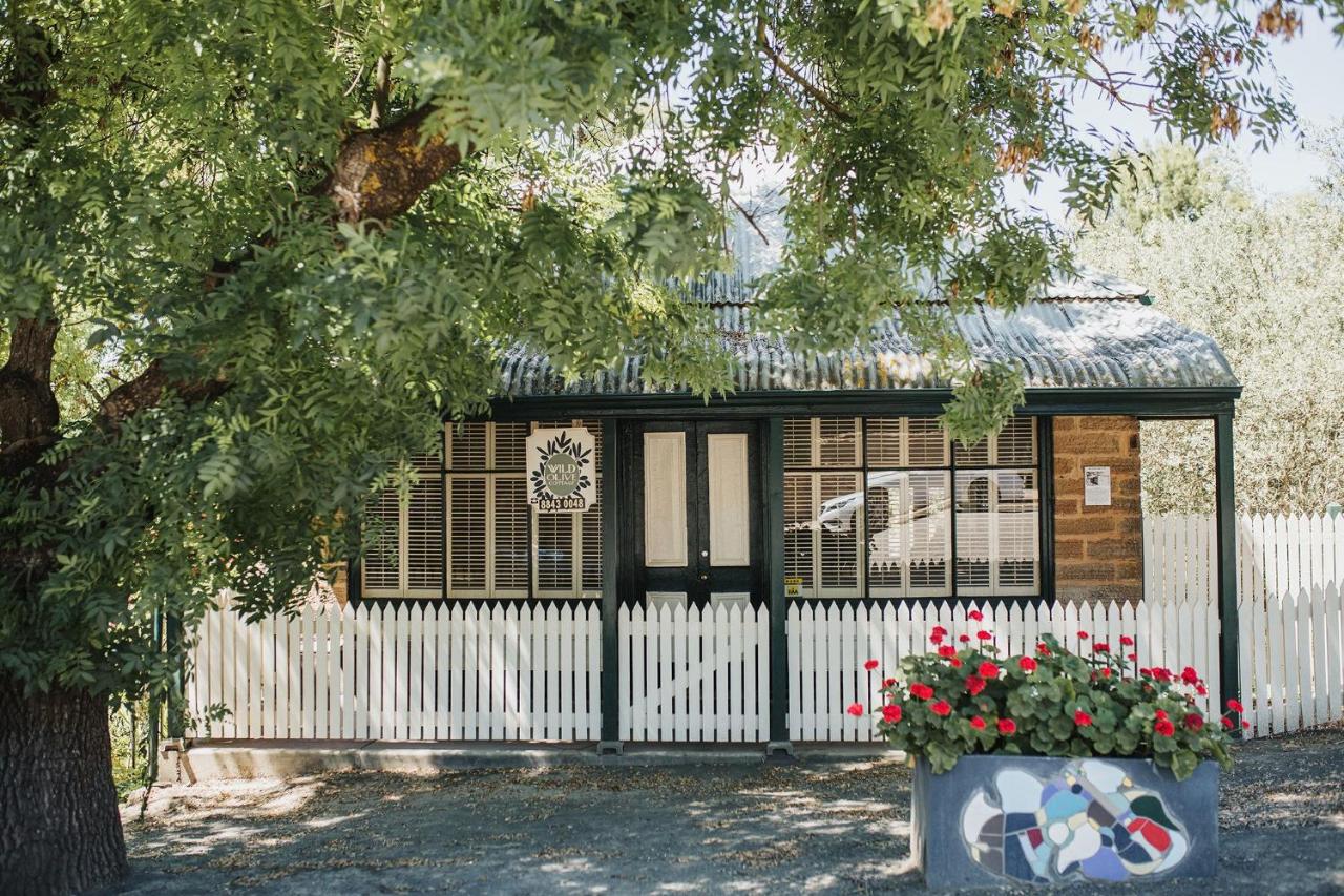 Wild Olive Cottage Clare Valley - B&B Auburn