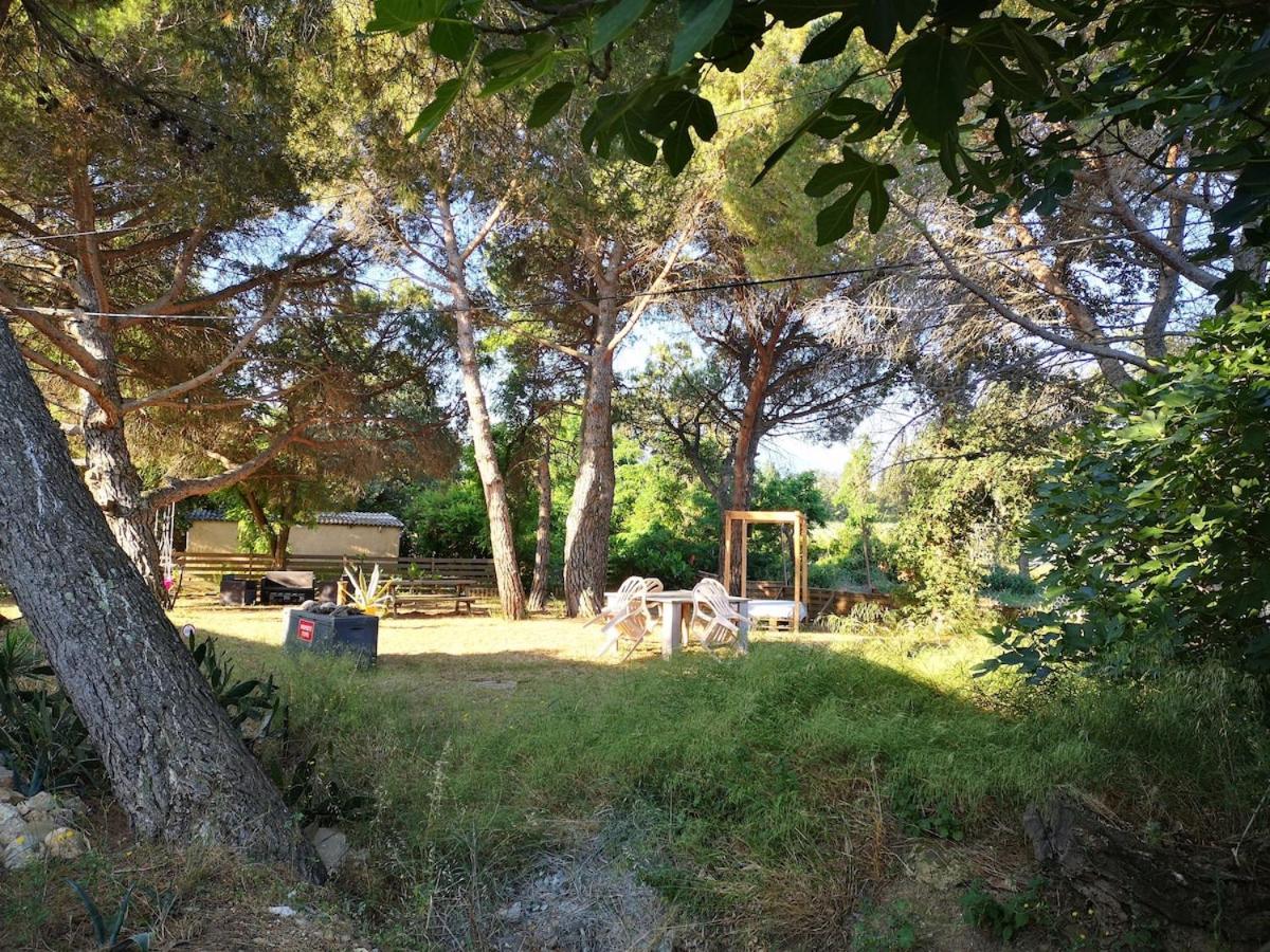 Maison Pittoresque Terrasse et Jardin Monastir del Camp - B&B