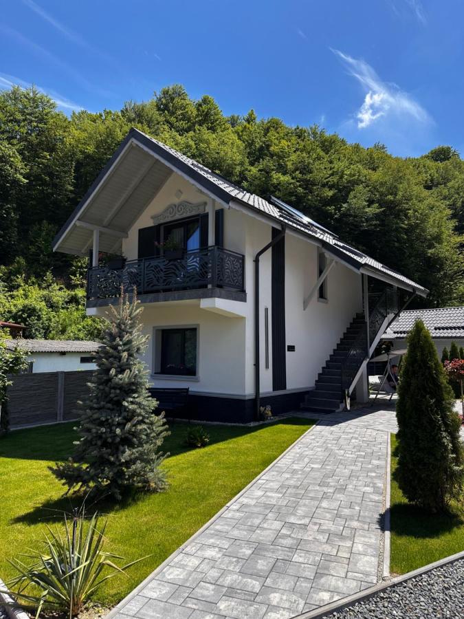 Casa din Vale apartament - Valiug - B&B Văliug