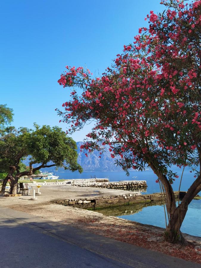 Villa Seashell - B&B