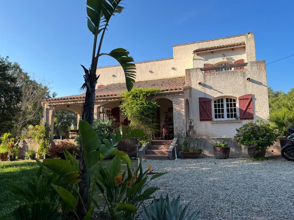 Libres 5 Chambres à Saint Florent Haute Corse Prix à débattre - B&B Saint-Florent