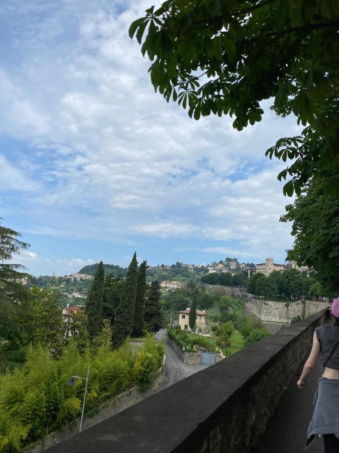 Suite ai piedi di Città Alta - B&B