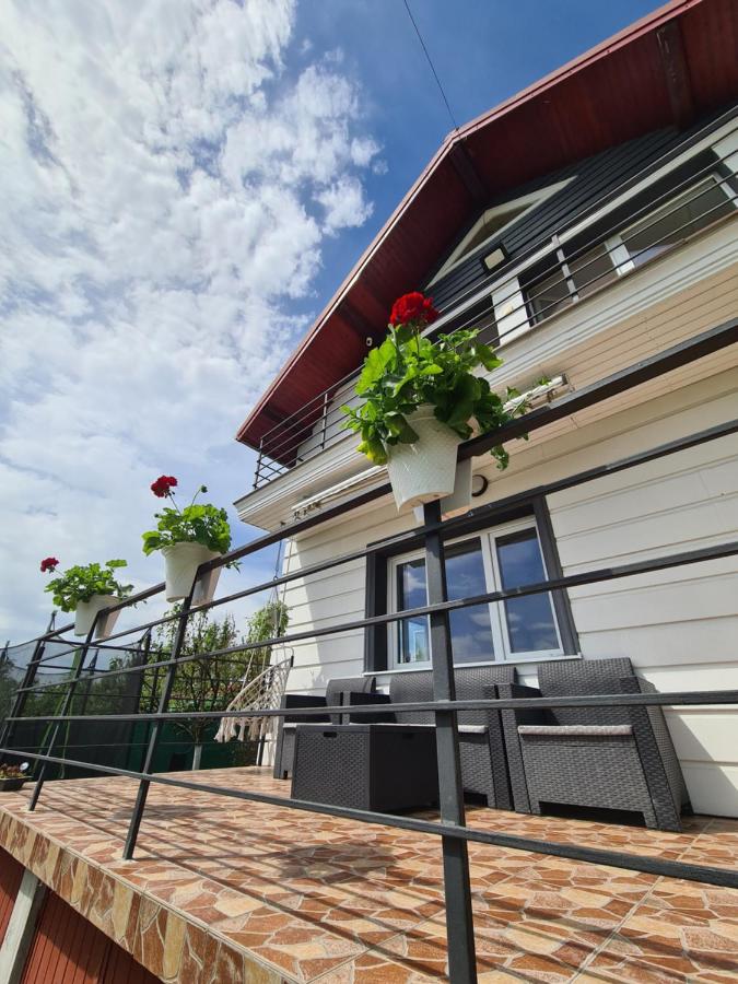 Cabana La Câmpe - B&B