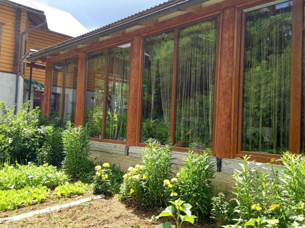 Gostynnyi Dvir u Marichky - B&B