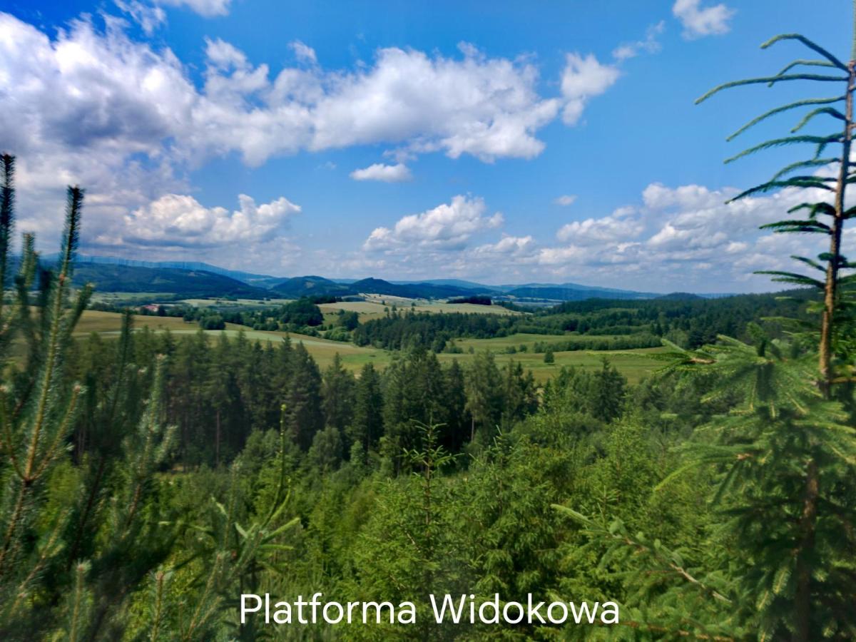 APARTAMENTY & DOMKI Chełmsko Śląskie - B&B Chełmsko Śląskie