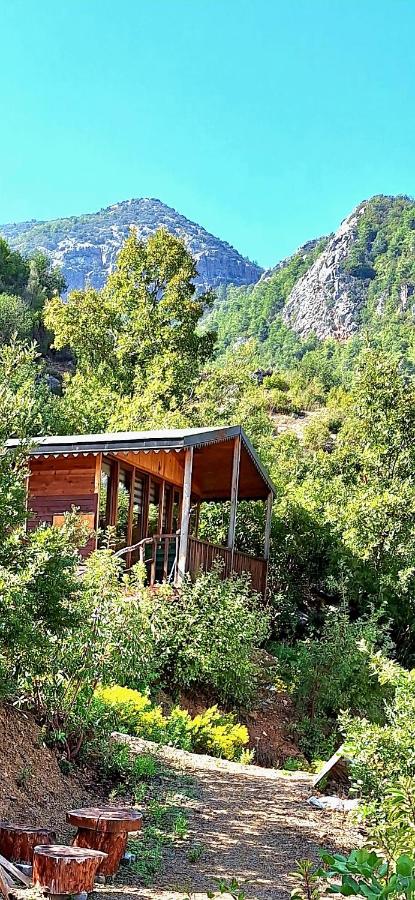 Hergül Holiday Village - B&B