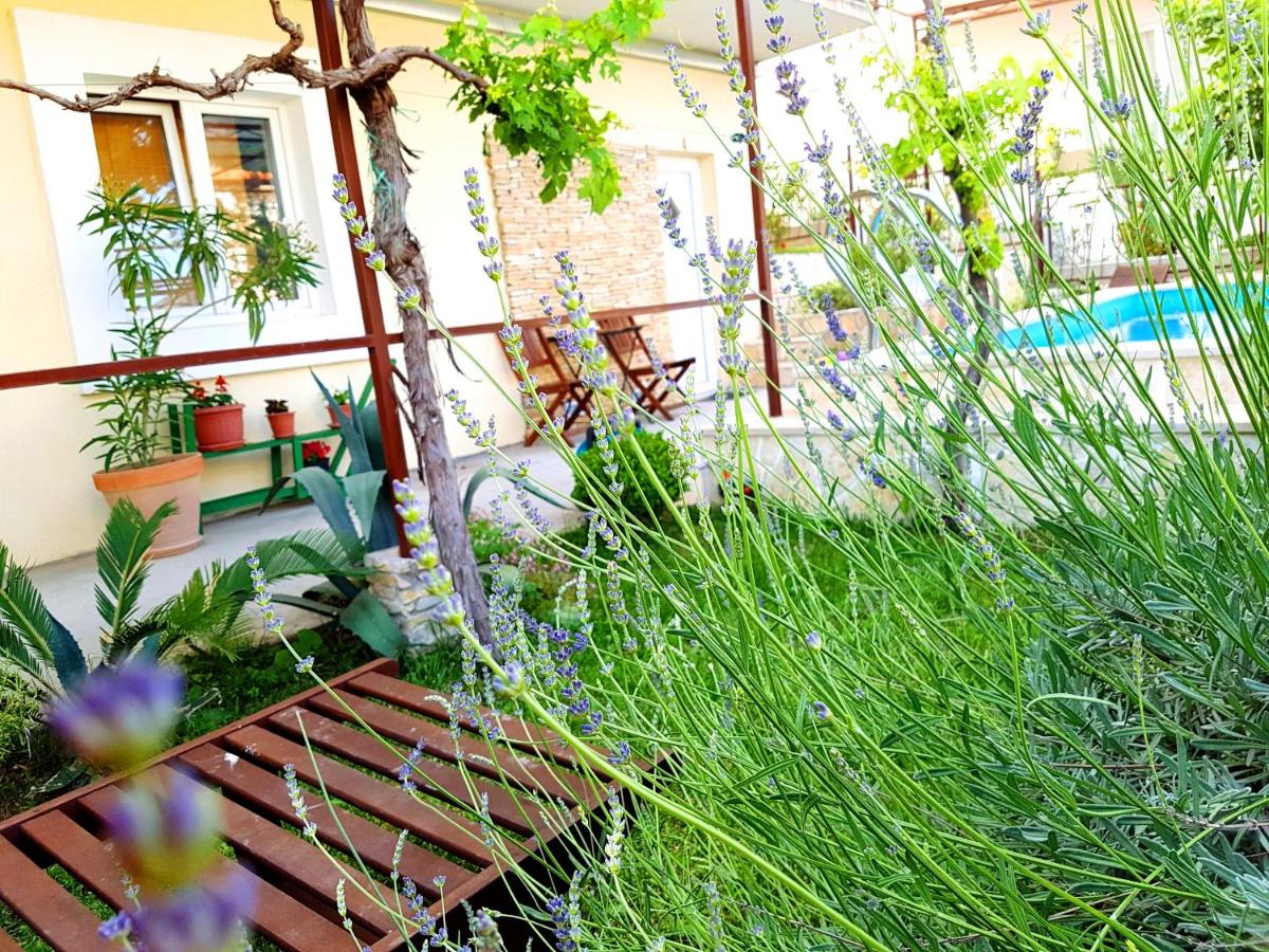 Studio with Garden View