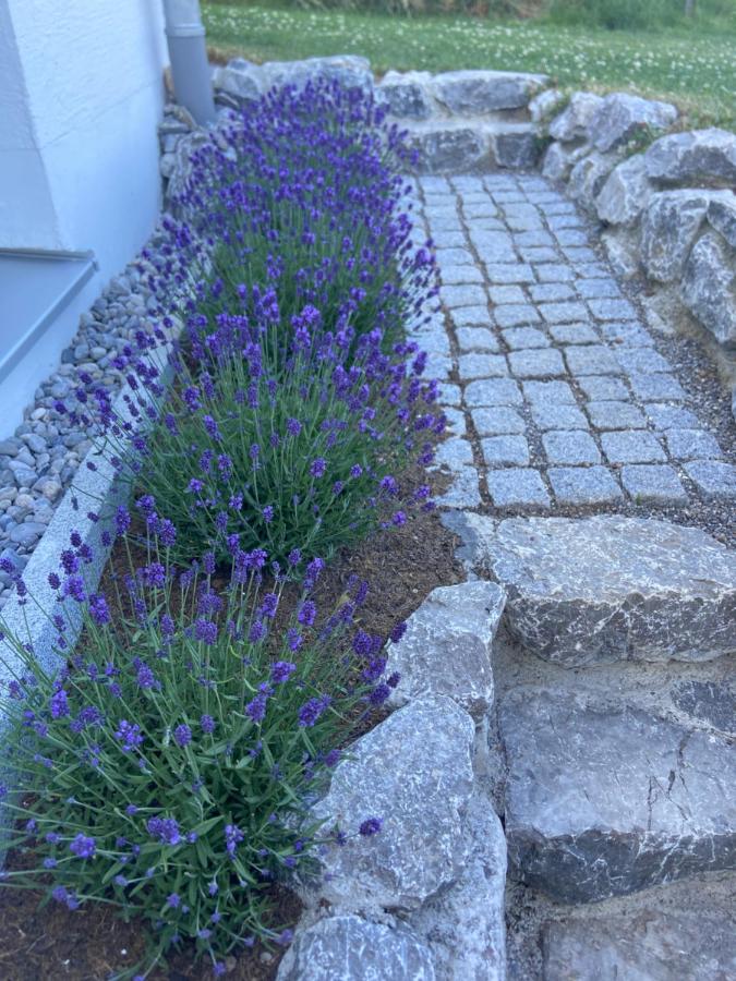 Gemütliche Oase im Voralpenland - B&B Peiting