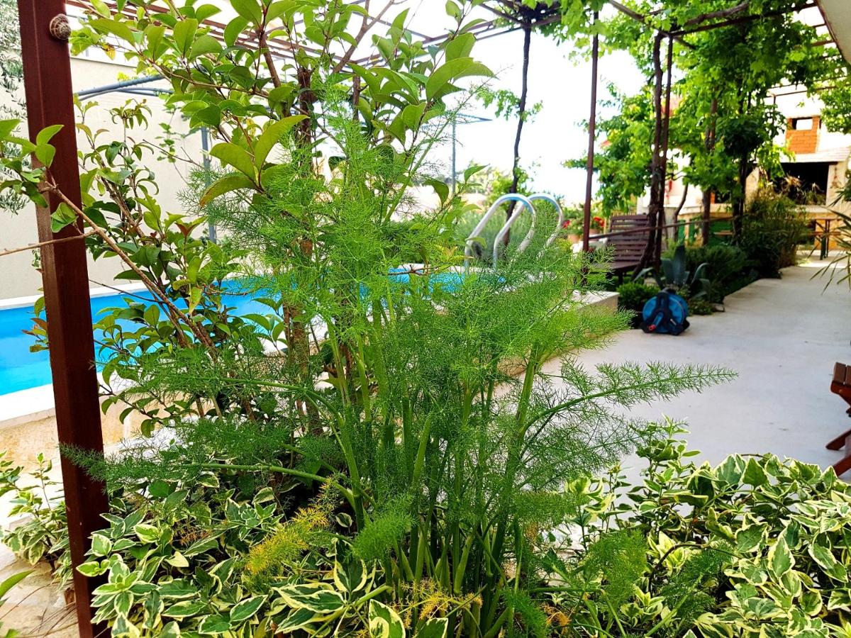 Apartment with Pool View