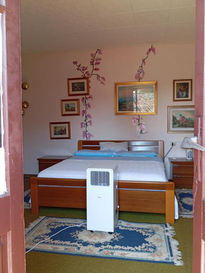 Apartamento con terraza 