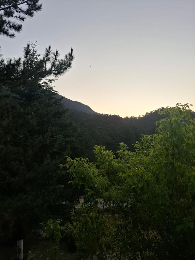 Vierpersoonskamer met Uitzicht op de Bergen