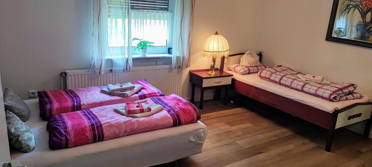 Studio with Sofa Bed