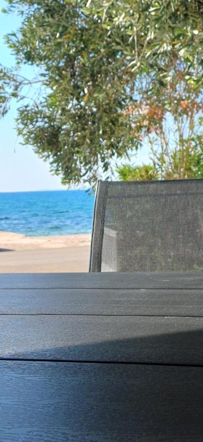 Graf-Apartments-Vir-Zadar - B&B