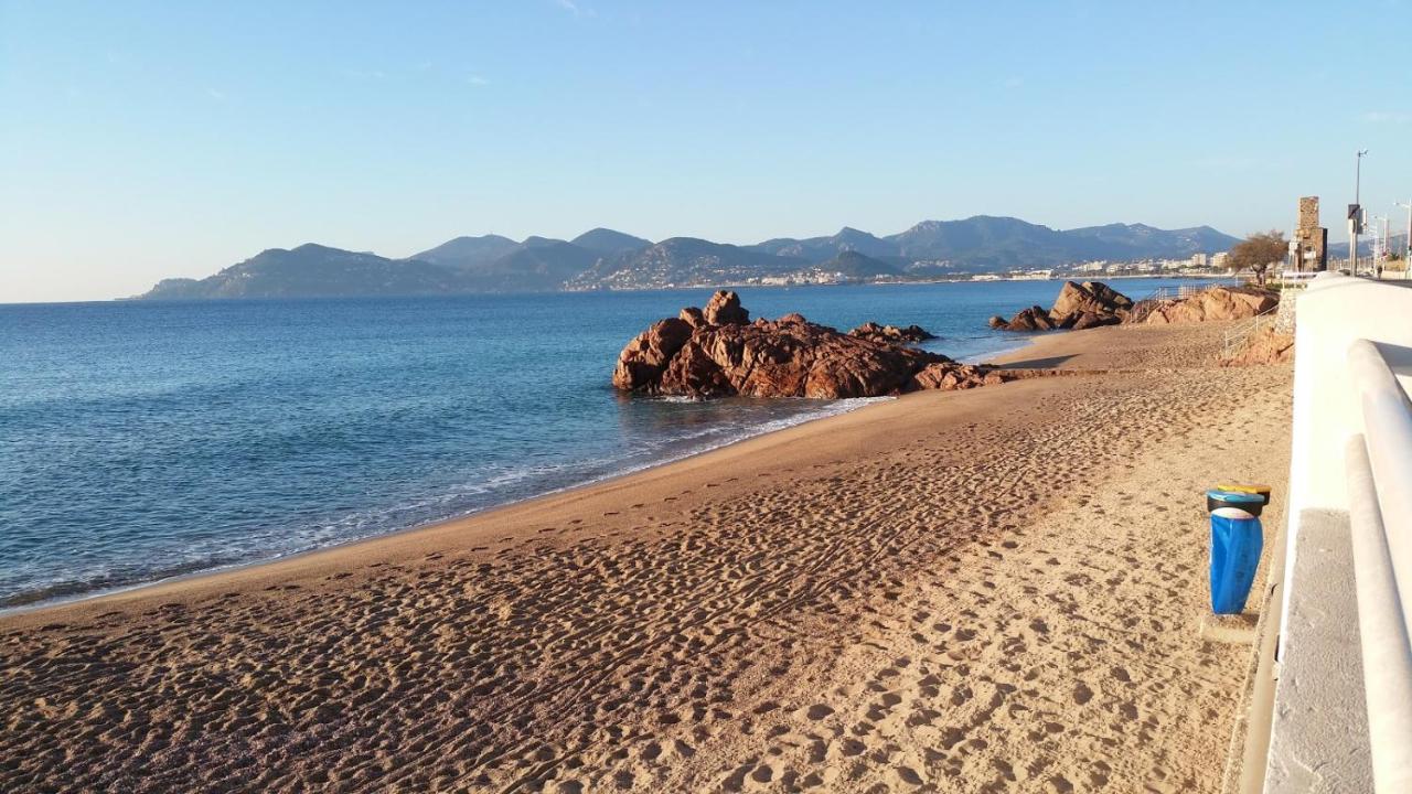 Beau studio à 5 min de la plage - B&B Cannes