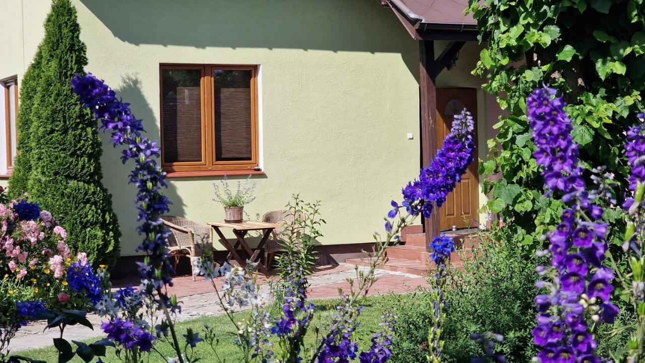 "Jabłonie i grusze" Nice home in a big garden with sauna and wifi - B&B