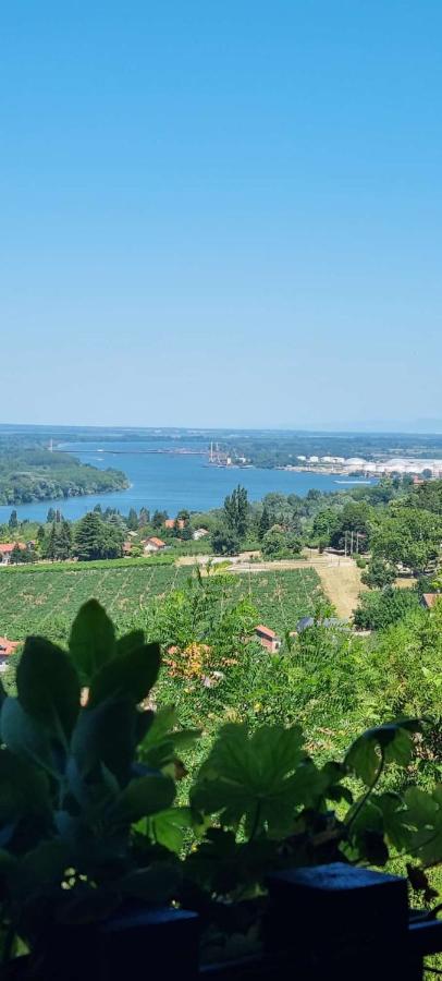 View Point House - B&B Smederevo