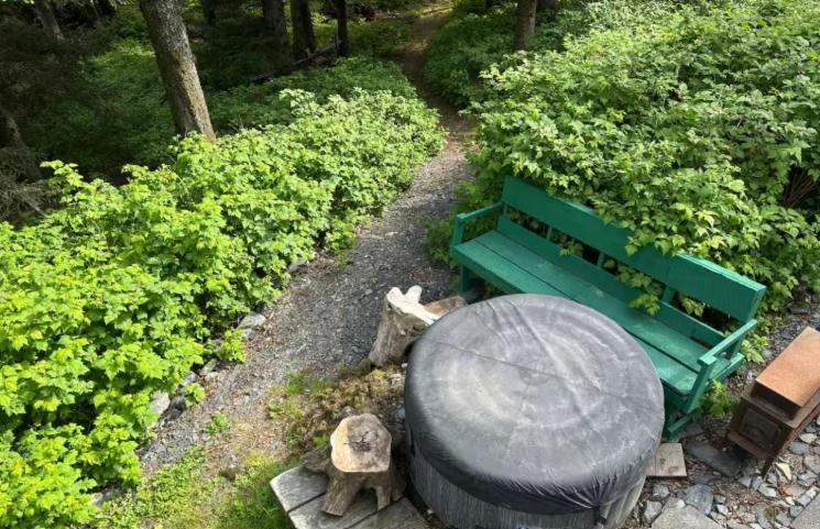 Lodge with Beautiful Forest, Mountain, & Ocean Views - B&B