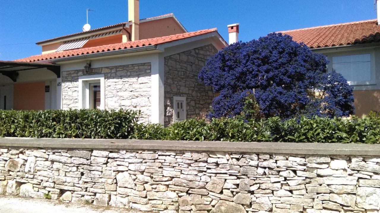 Apartment Ivan - B&B