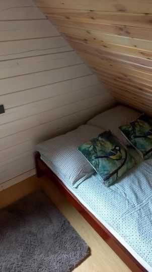 Domek nad rzeką - B&B Borsk