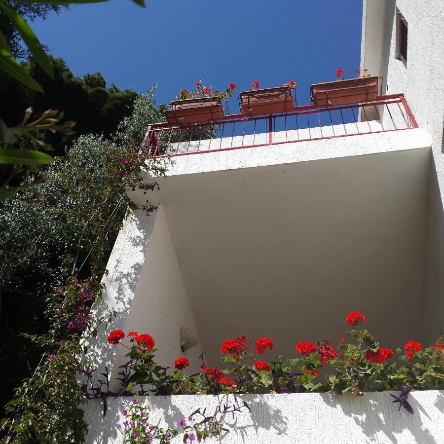 Studio with Balcony and Sea View (2 Adults)