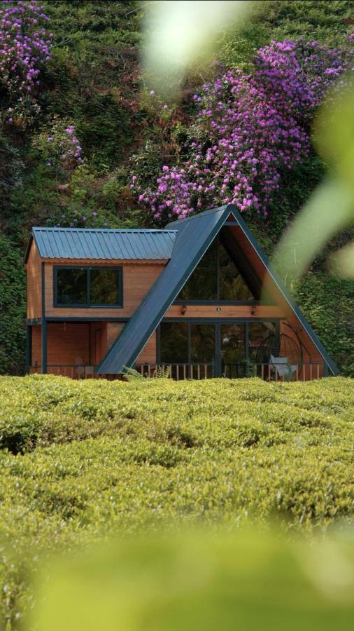 Nesli Villa & Bungalow - Dubleks Bahçeli Villa - B&B Yanıkdağ