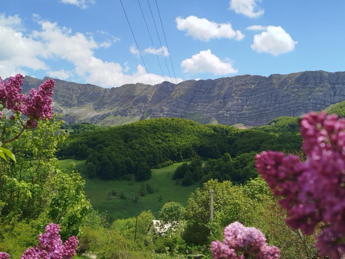 Čemerno Cottage - B&B Gacko