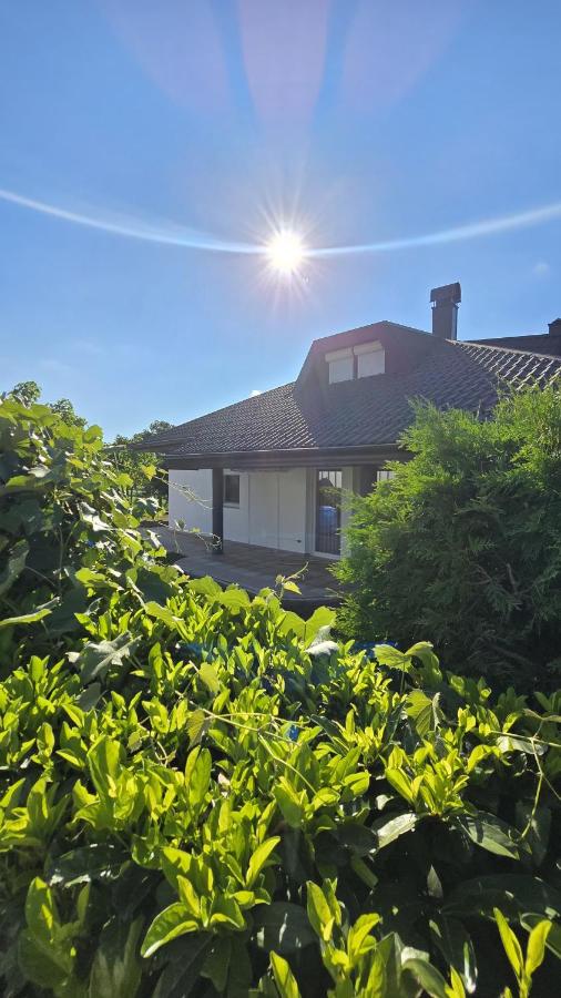Green Stay - B&B