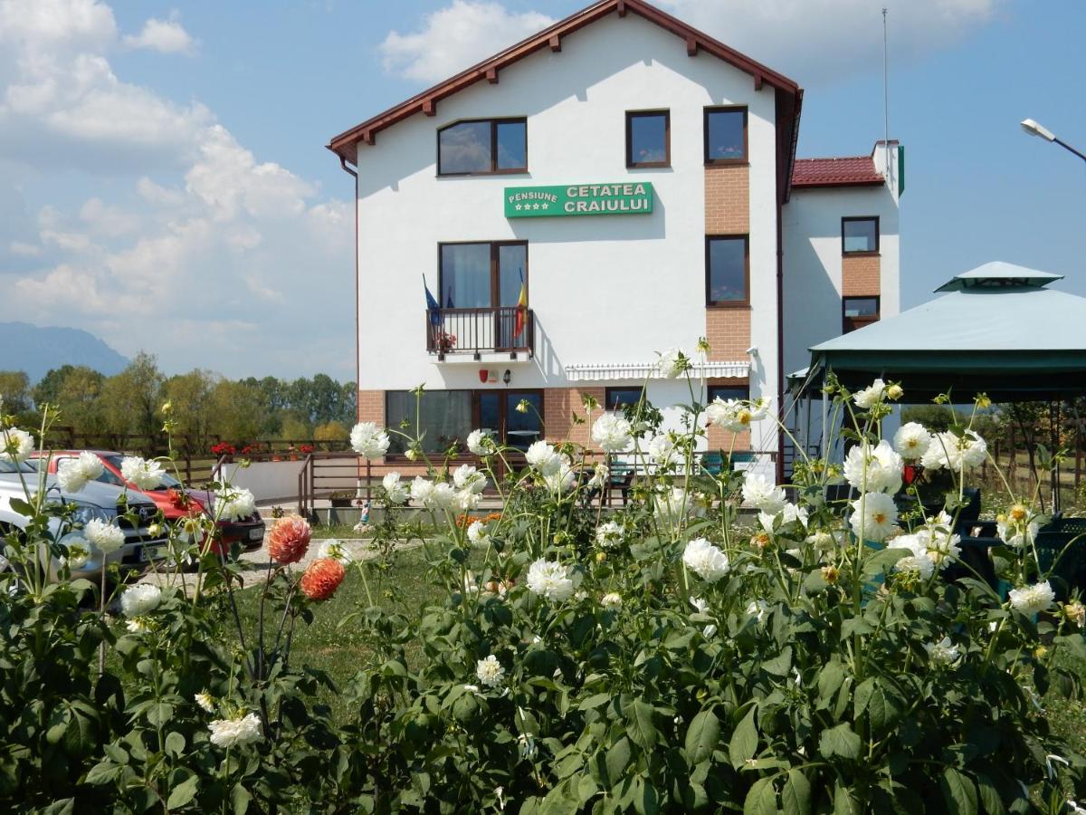 Pensiunea Cetatea Craiului - B&B