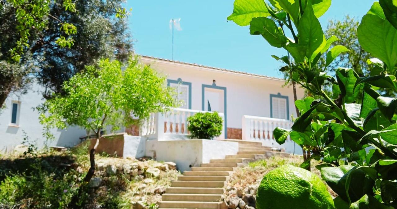 Casa Jacaranda Peace and Sunshine - B&B