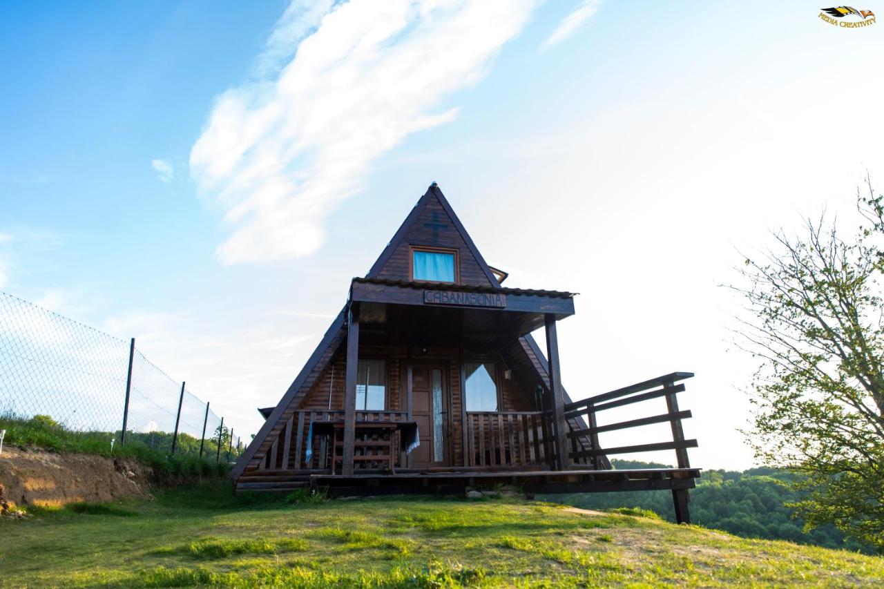 Cabana Oul Arsitei - B&B Pleși