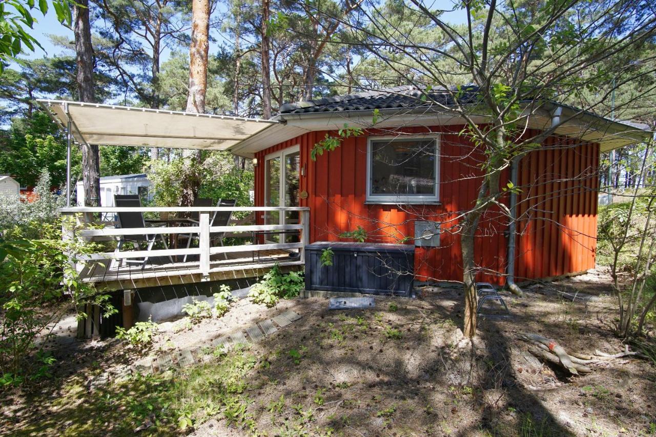 Ferienhaus Tipi 365 - strandnahes Ferienhäuschen mit Terrasse und kostenfreier Nutzung des AHOI!-Schwimmbades in Sellin - Chambres d'hôtes Ostseebad Göhren