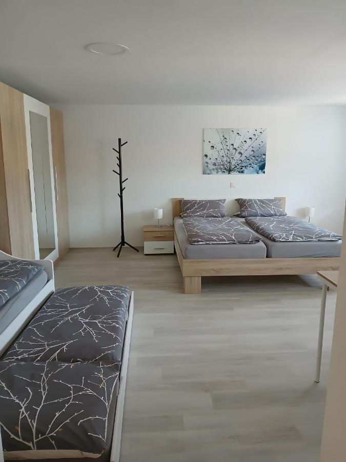 Appartamento con 1 Camera da Letto