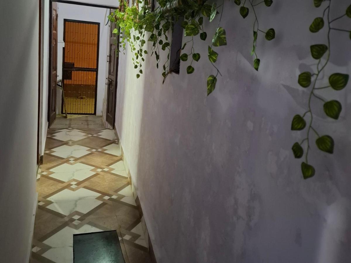 BLISSFUL HAVEN bh - Chambres d’hôtes Vârânasî