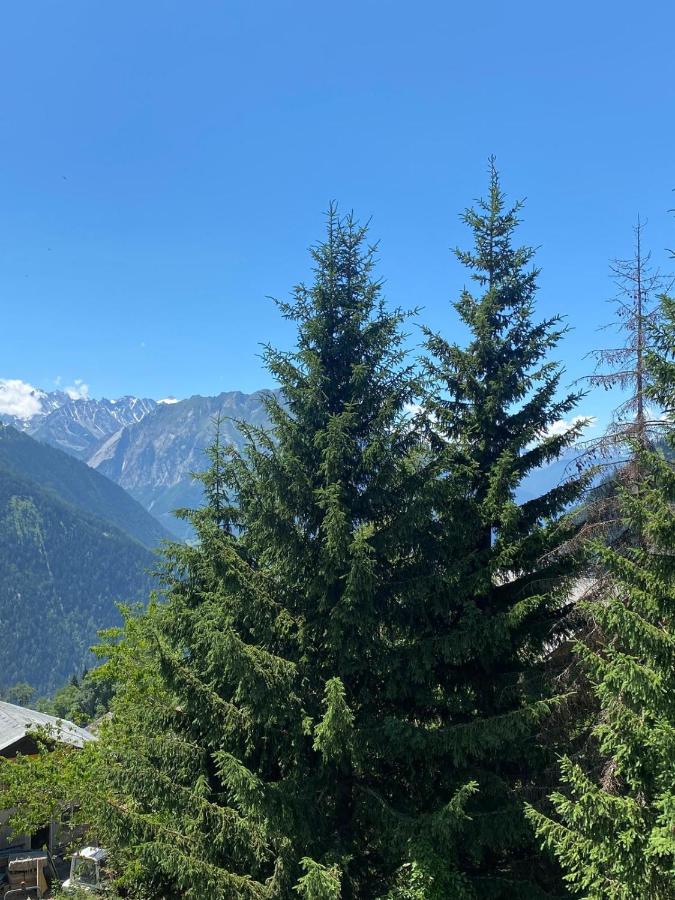 Asters 8 - B&B Verbier
