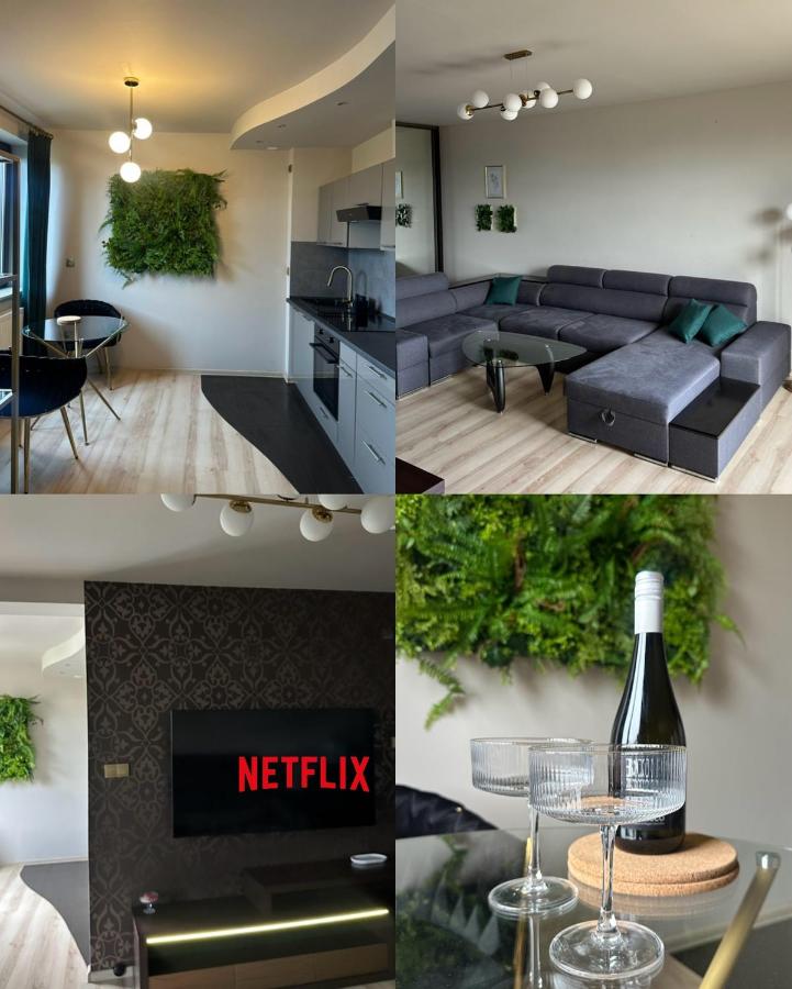 Apartment mit 1 Schlafzimmer