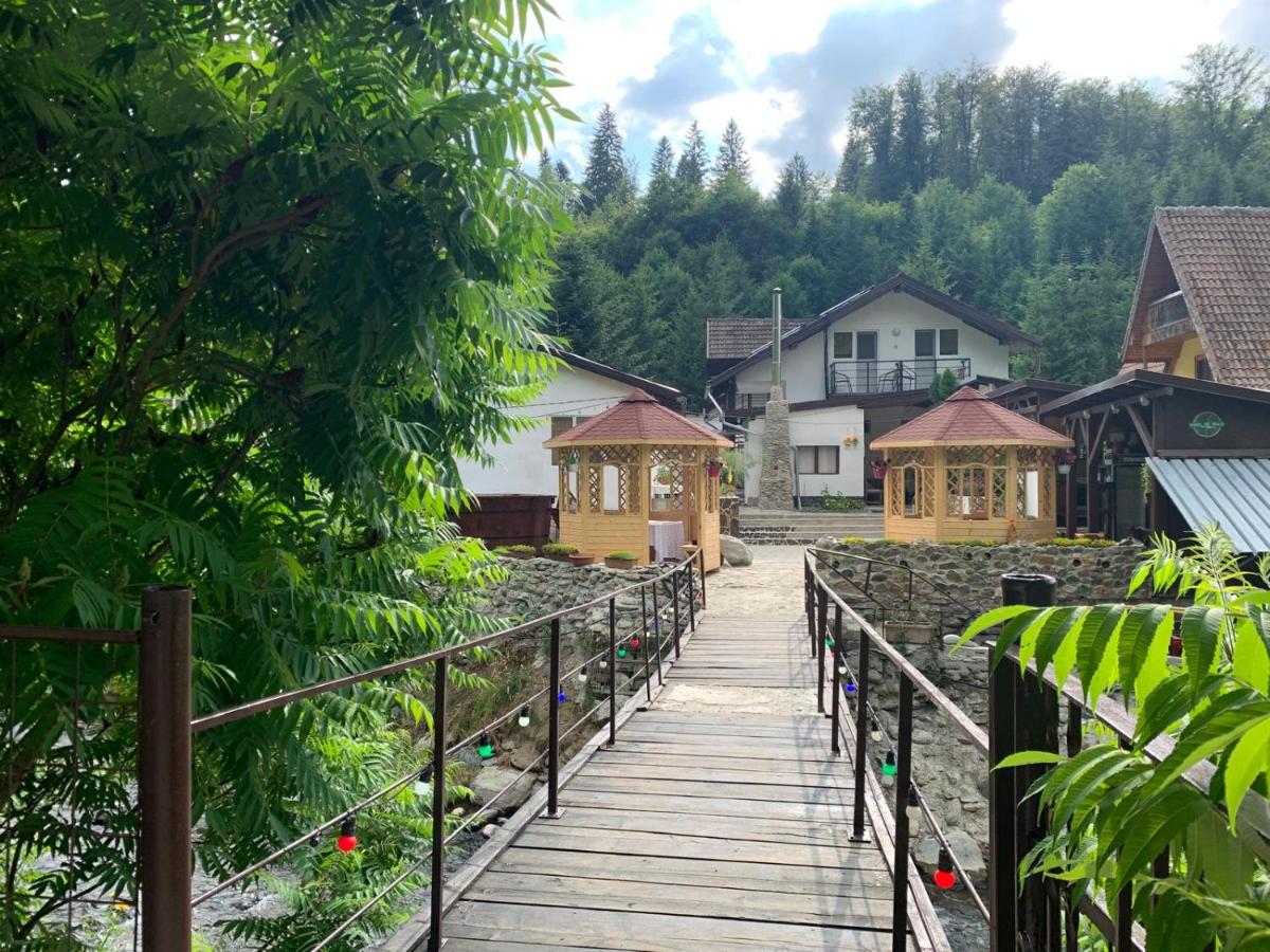 Podul De Brazi - B&B Cârţişoara