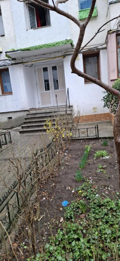 Artistic - B&B Vaslui