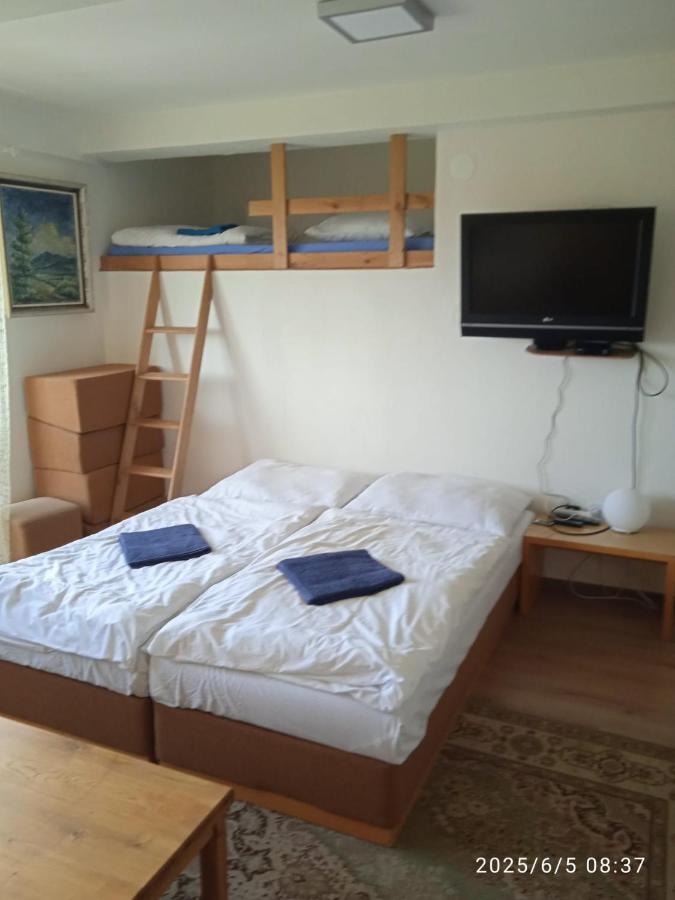 Apartment mit 1 Schlafzimmer
