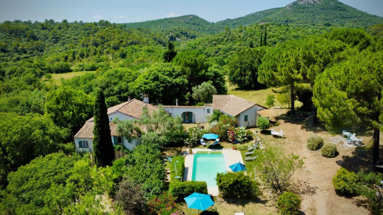 Mas Les Micocouliers - B&B