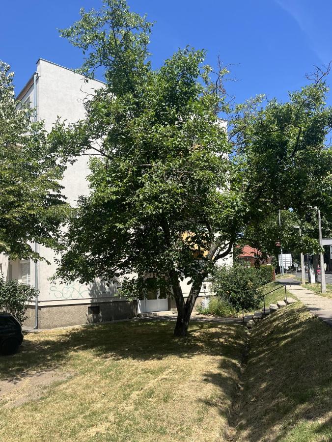 Studio East - B&B Pécs